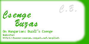 csenge buzas business card